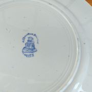 Assiette en porcelaine St Amand modèle Fruits bleu