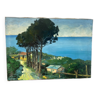Mediterranean landscape signed from 1970