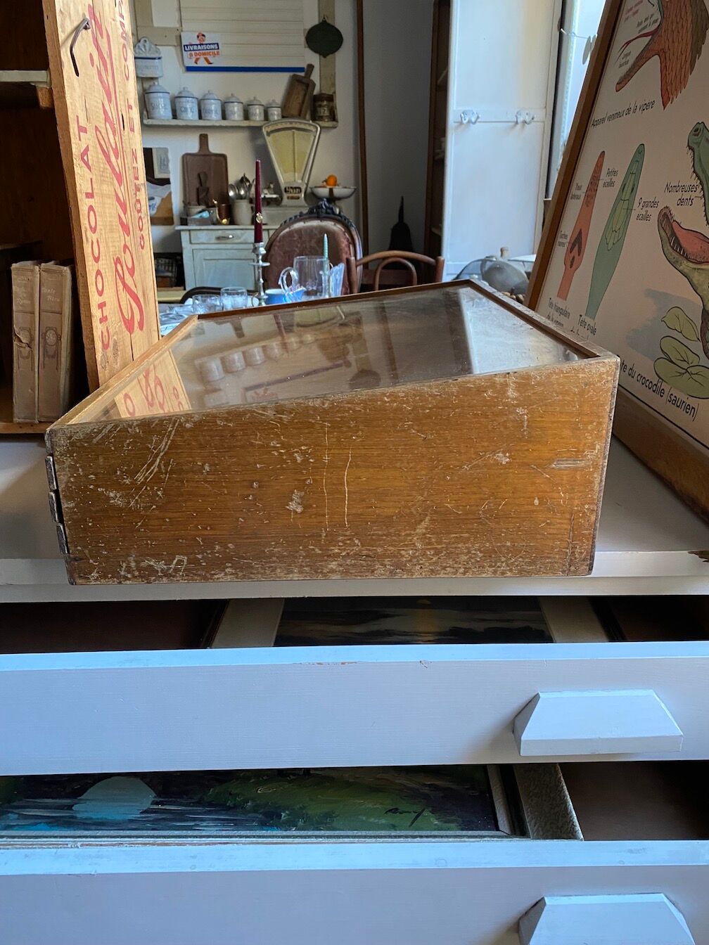 Antique trade showcase