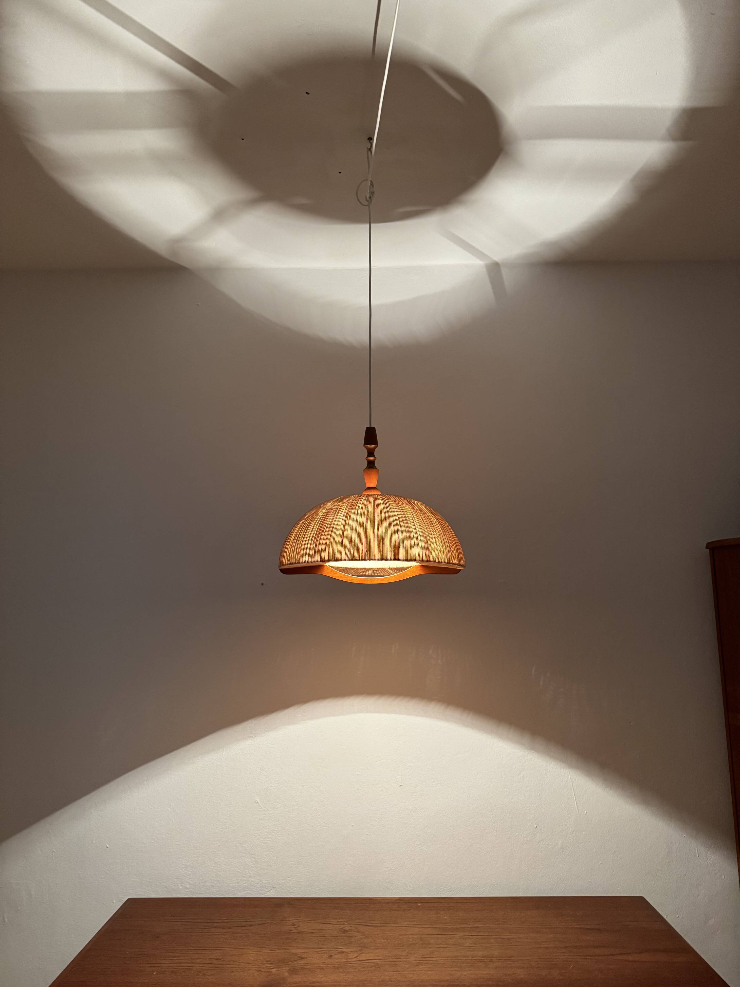 Teakwood and Raffia Bast Pendant Lamp by Temde