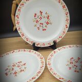 Set 6 flat plates Red and orange flowers