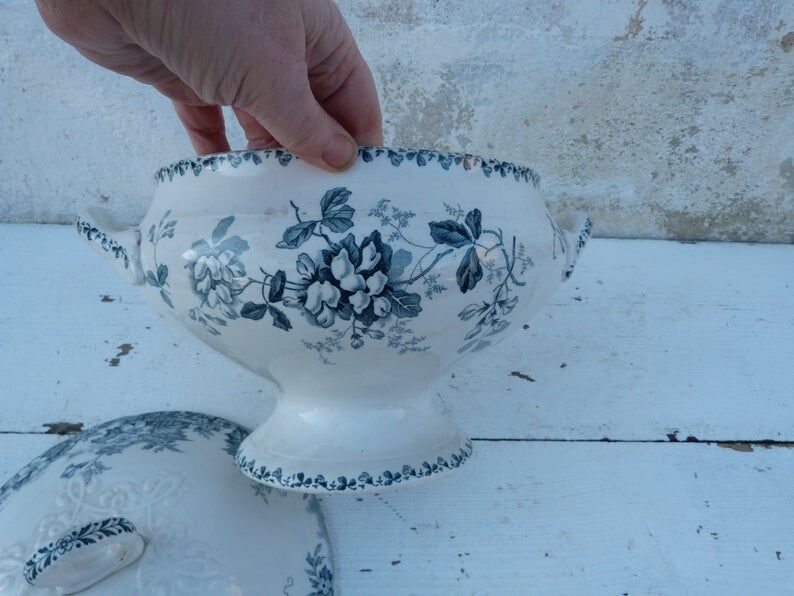 Old soup of The Hamge Wolves France Acacias