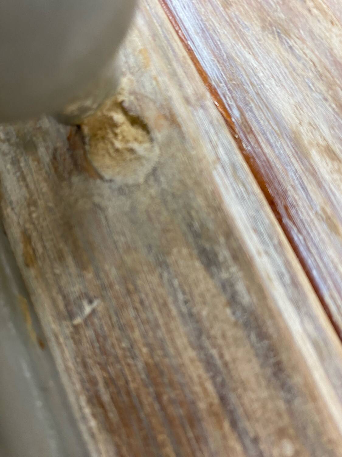 Little Parisian buffet