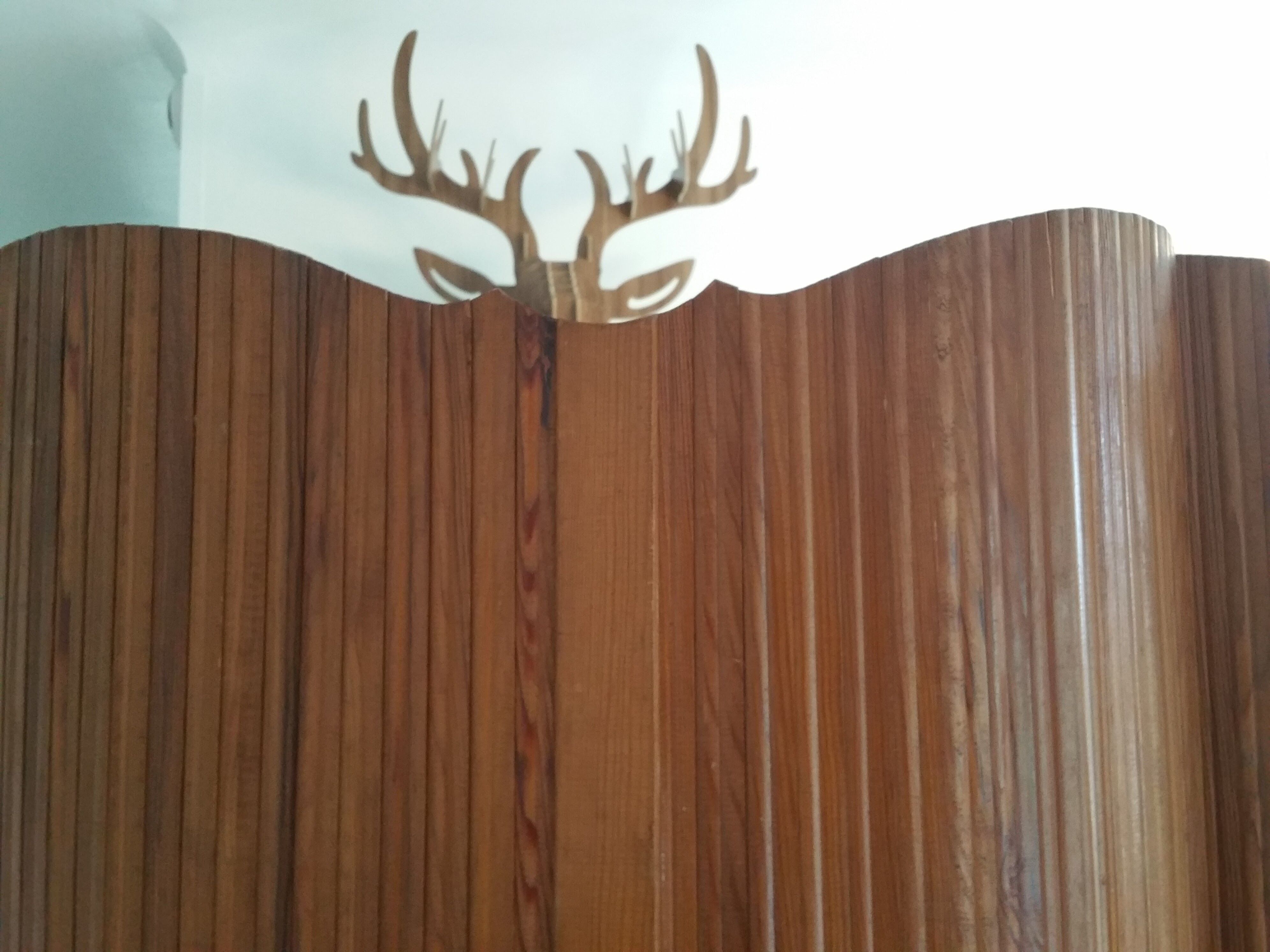 Screen the 1950s NSH