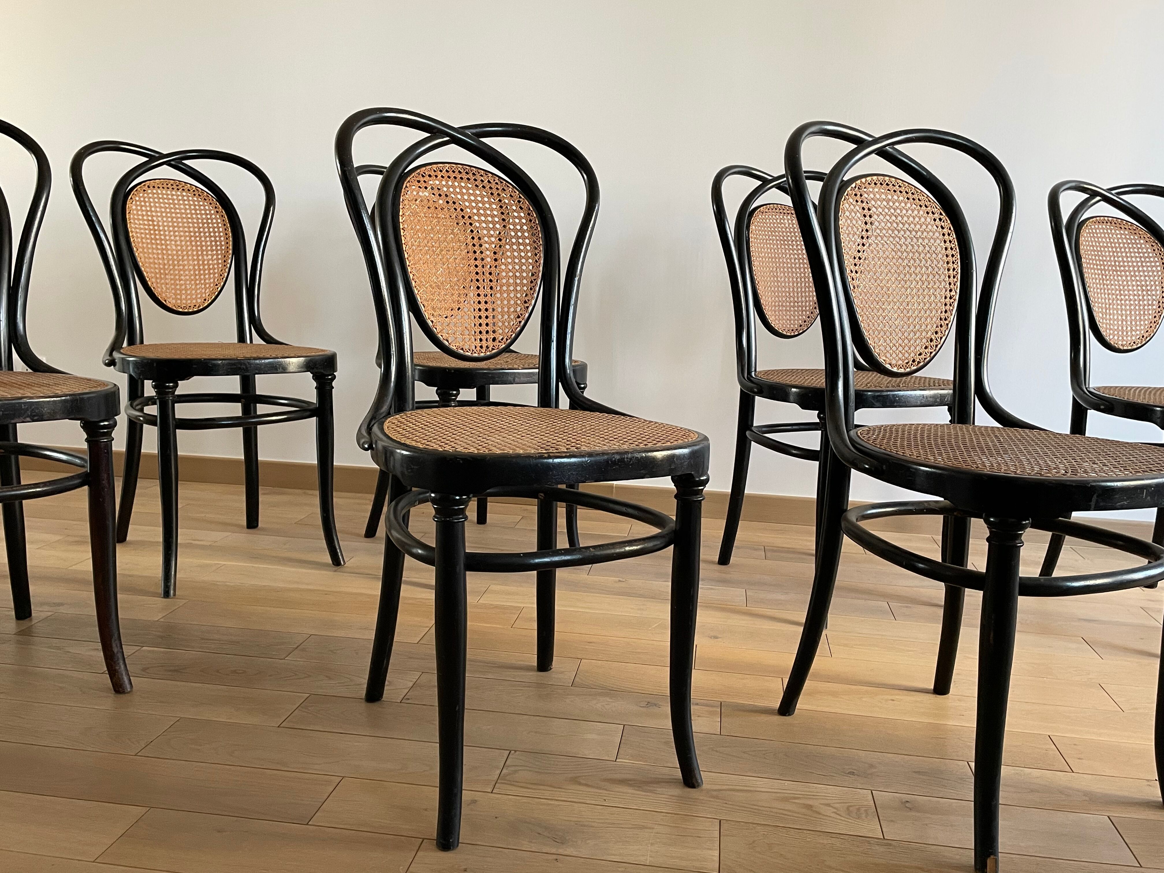 Series of 8 Viennese chairs N.33 by J&J Kohn, 1900
