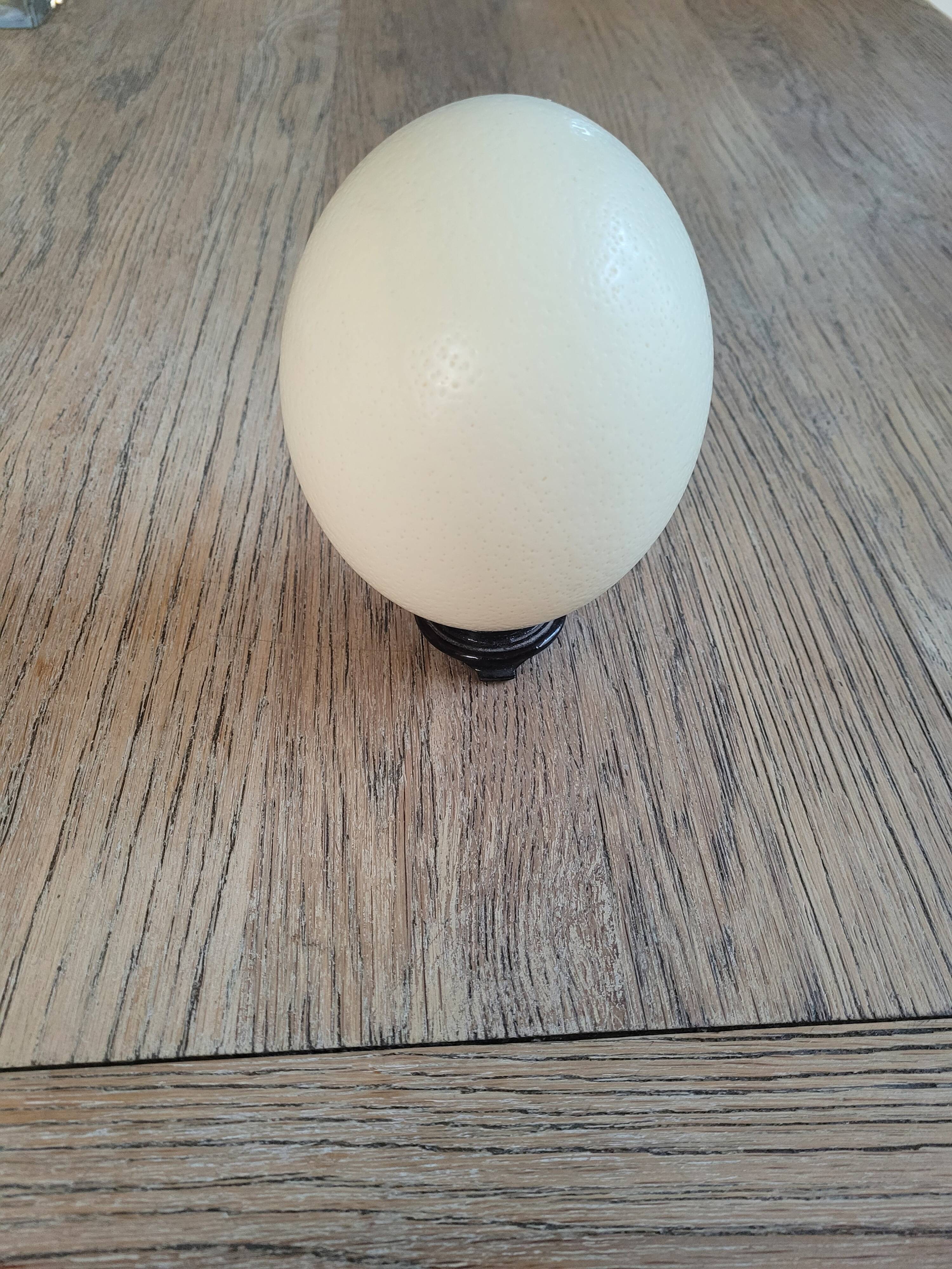 Ostrich egg with support