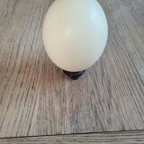 Ostrich egg with support