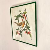 Antique engraving bird in metal frame