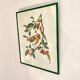 Antique engraving bird in metal frame