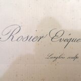 Framed lithograph by Pierre-Joseph Redouté