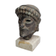 Head of Zeus in patinated plaster in imitation of bronze, 15 cm