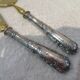 Ice cream serving cutlery in 950 silver and gilded metal, St LXVI and Art Nouveau style
