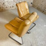 Roche Bobois armchairs