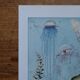 Lot of 2 lithographs on oceanography and molluscs