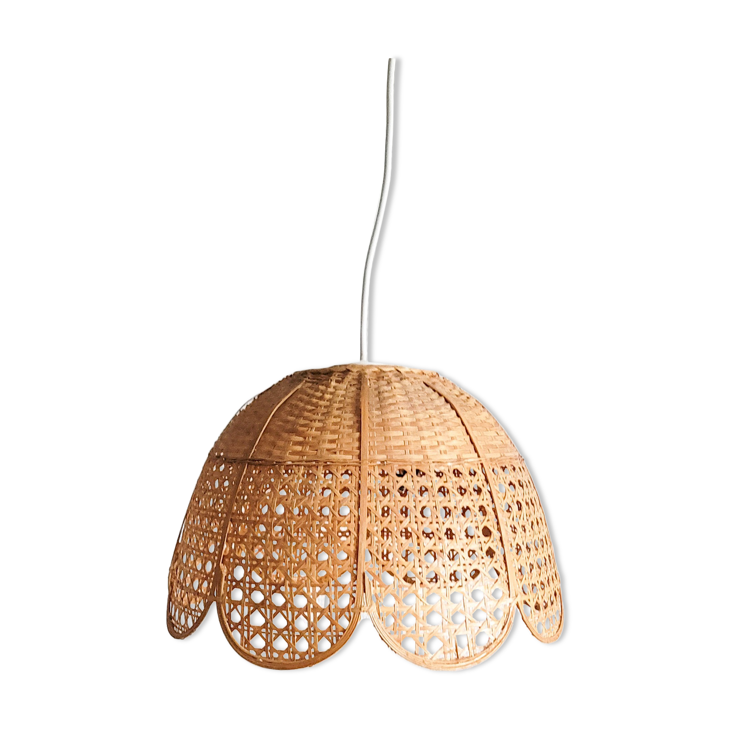 Vintage canned flower suspension