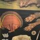 Educational poster mounted THE HEDGEHOG