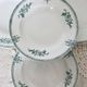 4 antique deep plates, ironstone, Saint Amand, 19th century.