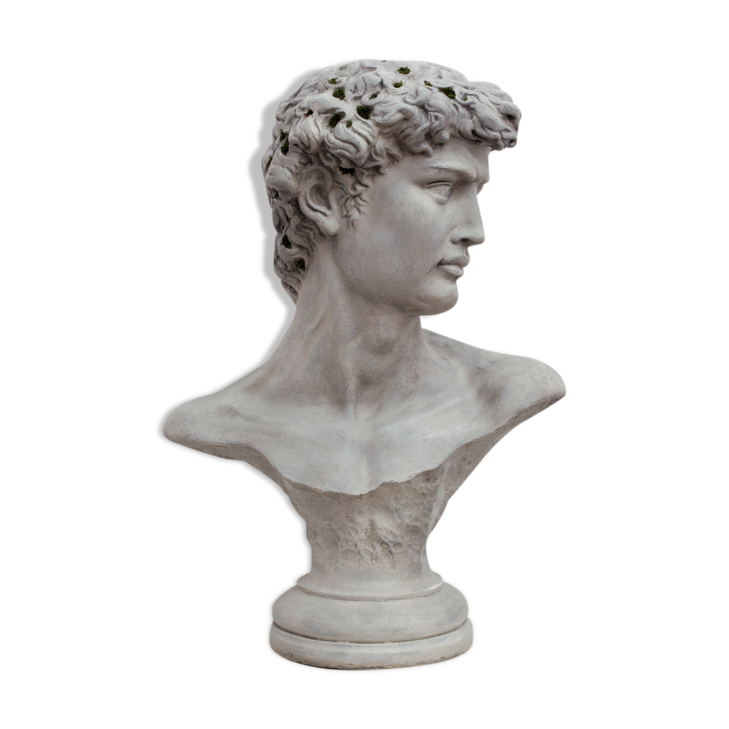 Sculpture bust of David