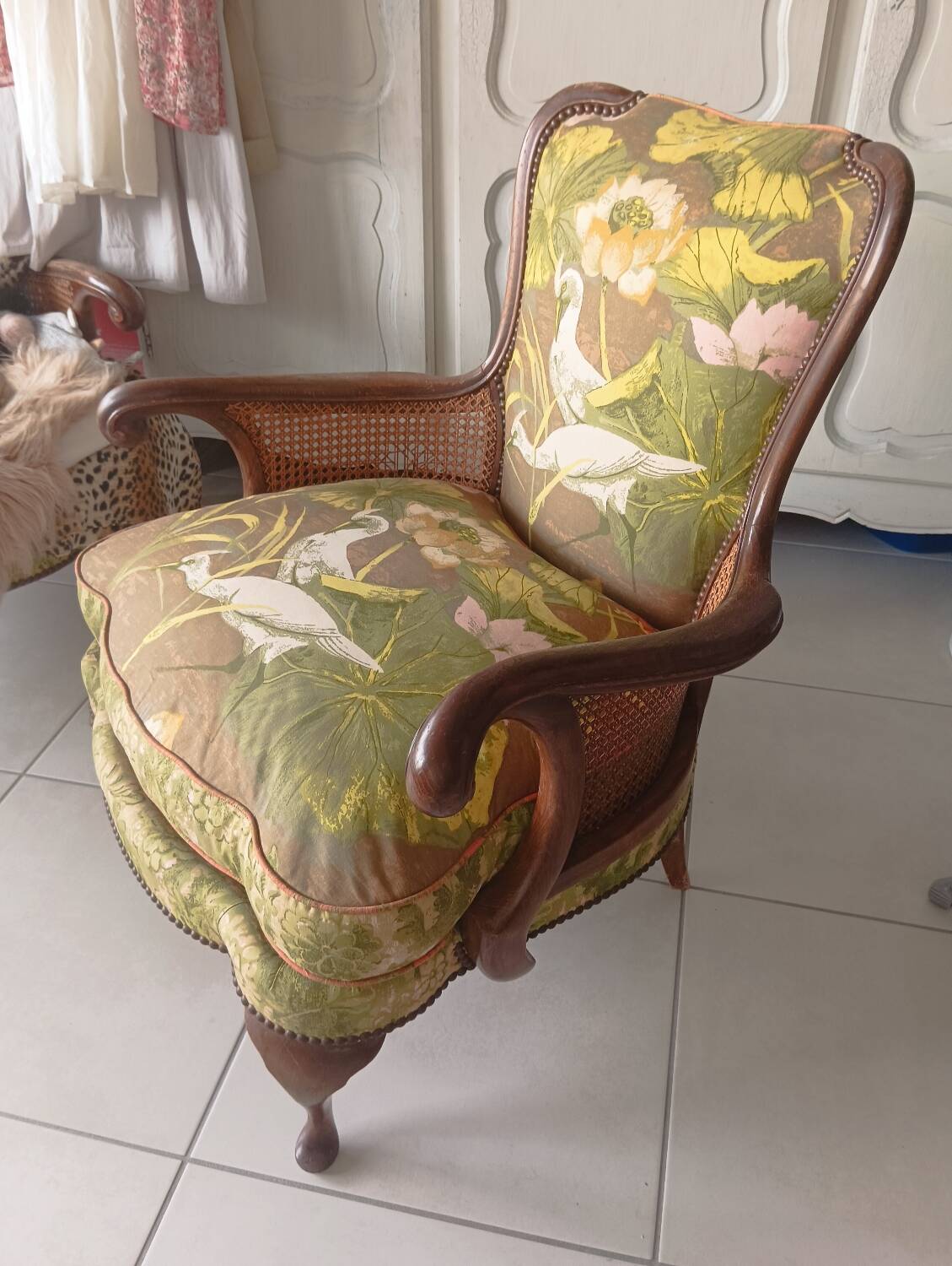 Fauteuils Chippindale avec de magnifiques motifs d'oiseaux.