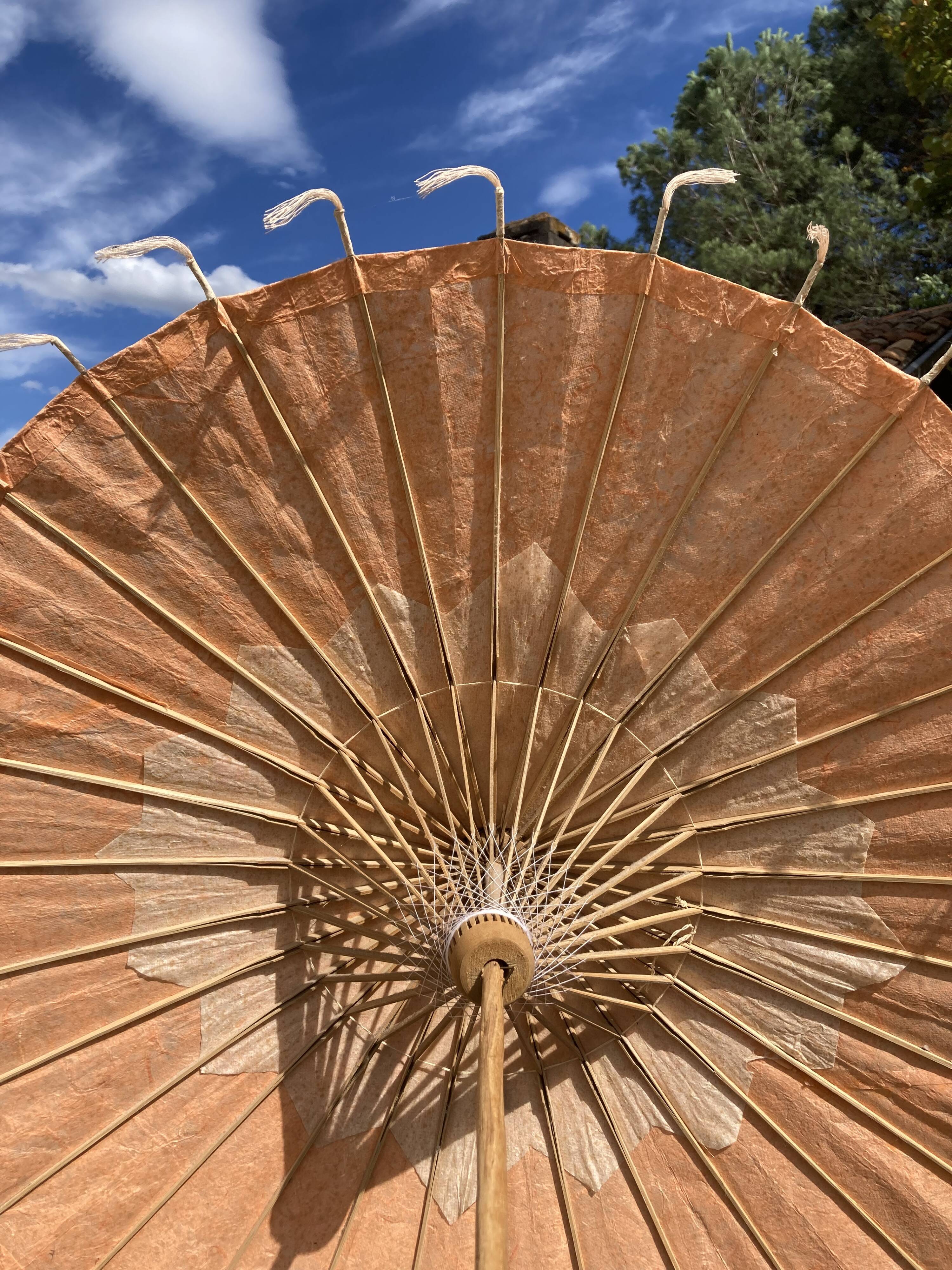 Powder pink paper umbrella and wooden handle