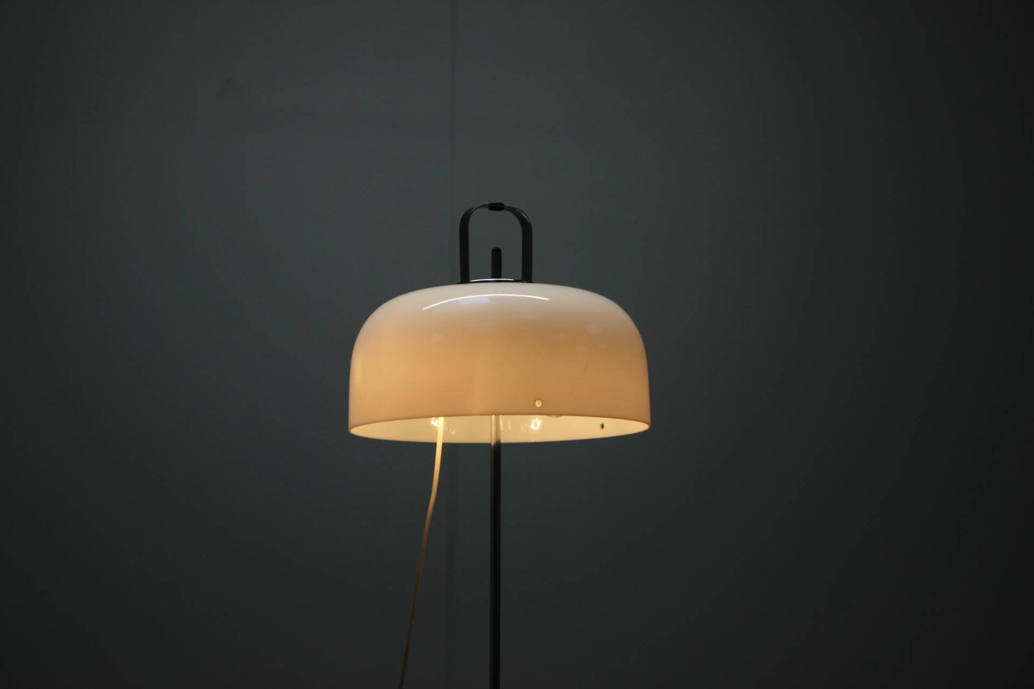 Mid-Century Floor Lamp Medusa by Luigi Massoni for Guzzini, 1970s, Italy