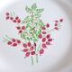 1 red and green plate 221238