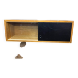 Small Scandinavian niche display case library