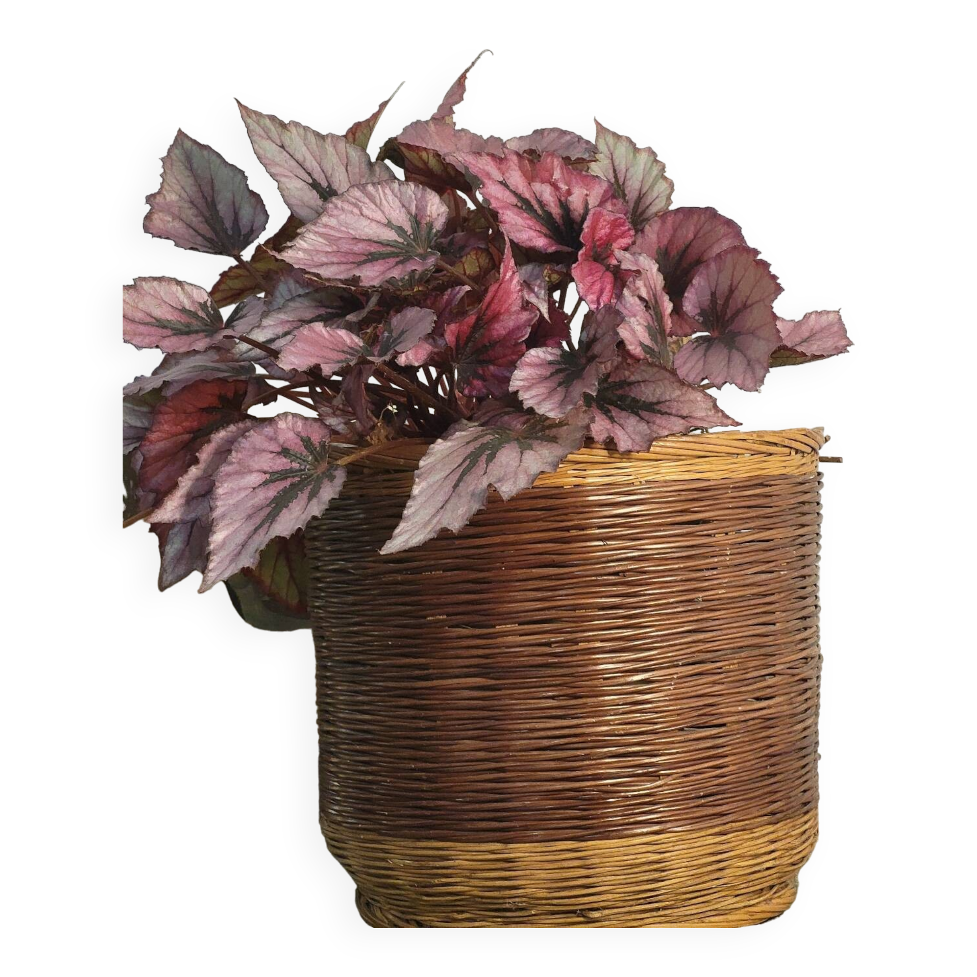 Wicker rattan planter