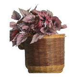 Wicker rattan planter