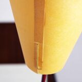Modernist carbon floor lamp