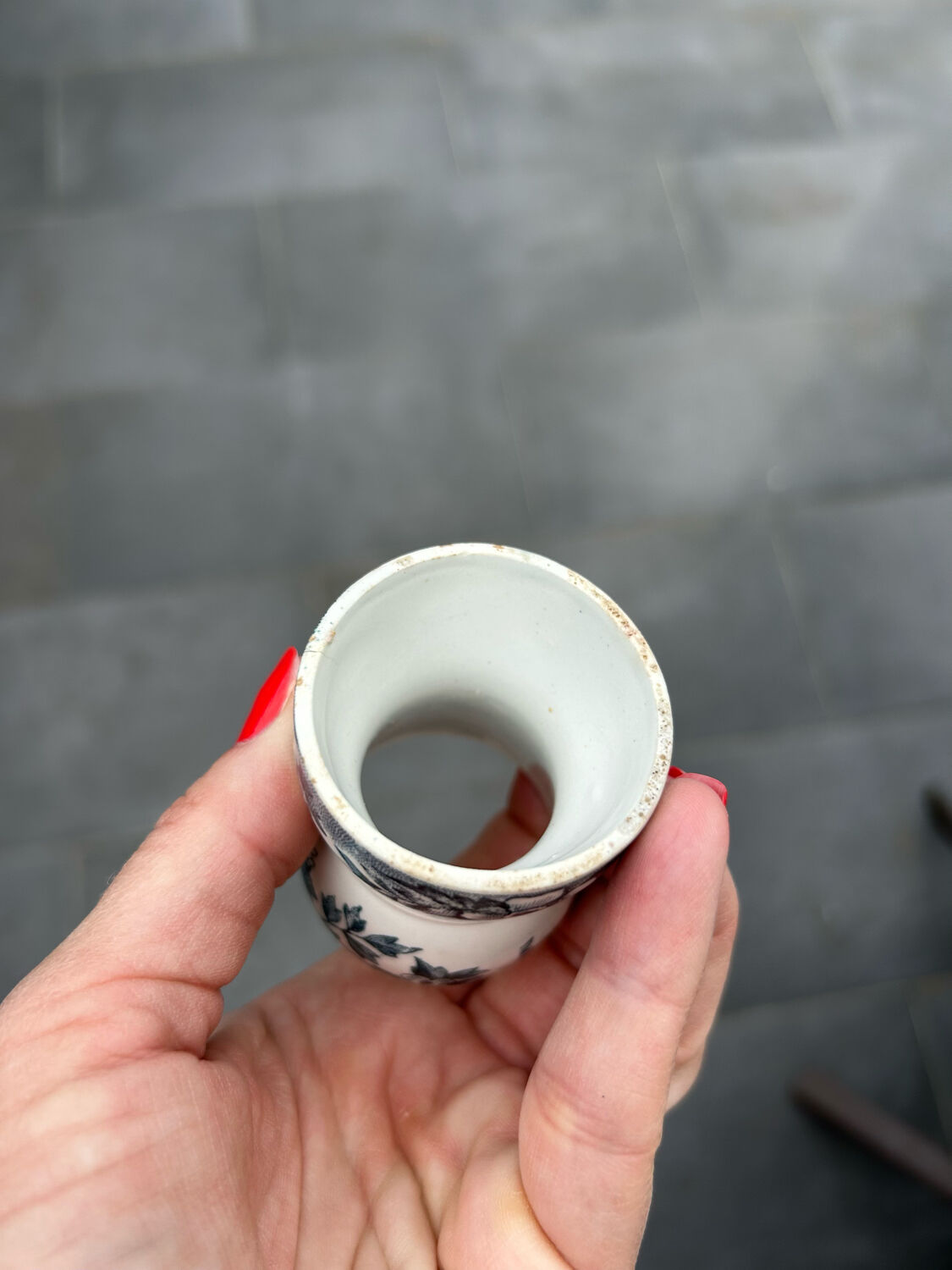 Lot 3 cockroaches diabolo iron earth