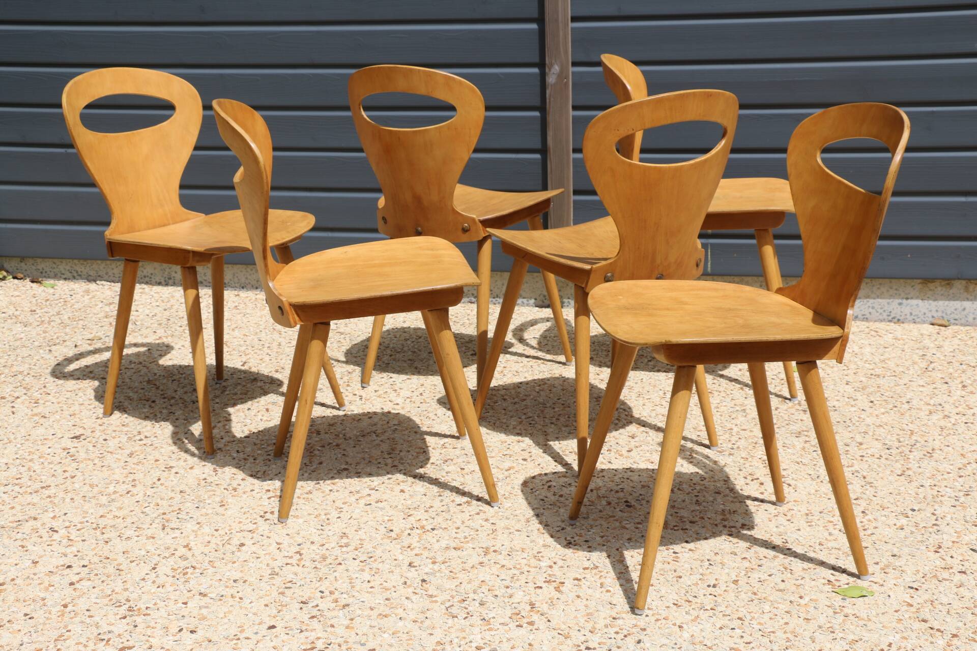 6 BAUMANN V2 chairs in light beech