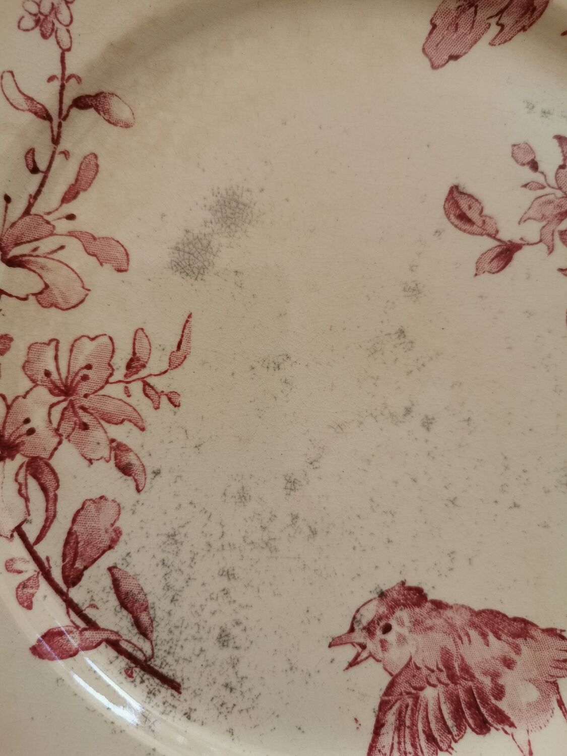 Assiettes anciennes Sarreguemines "Favori"