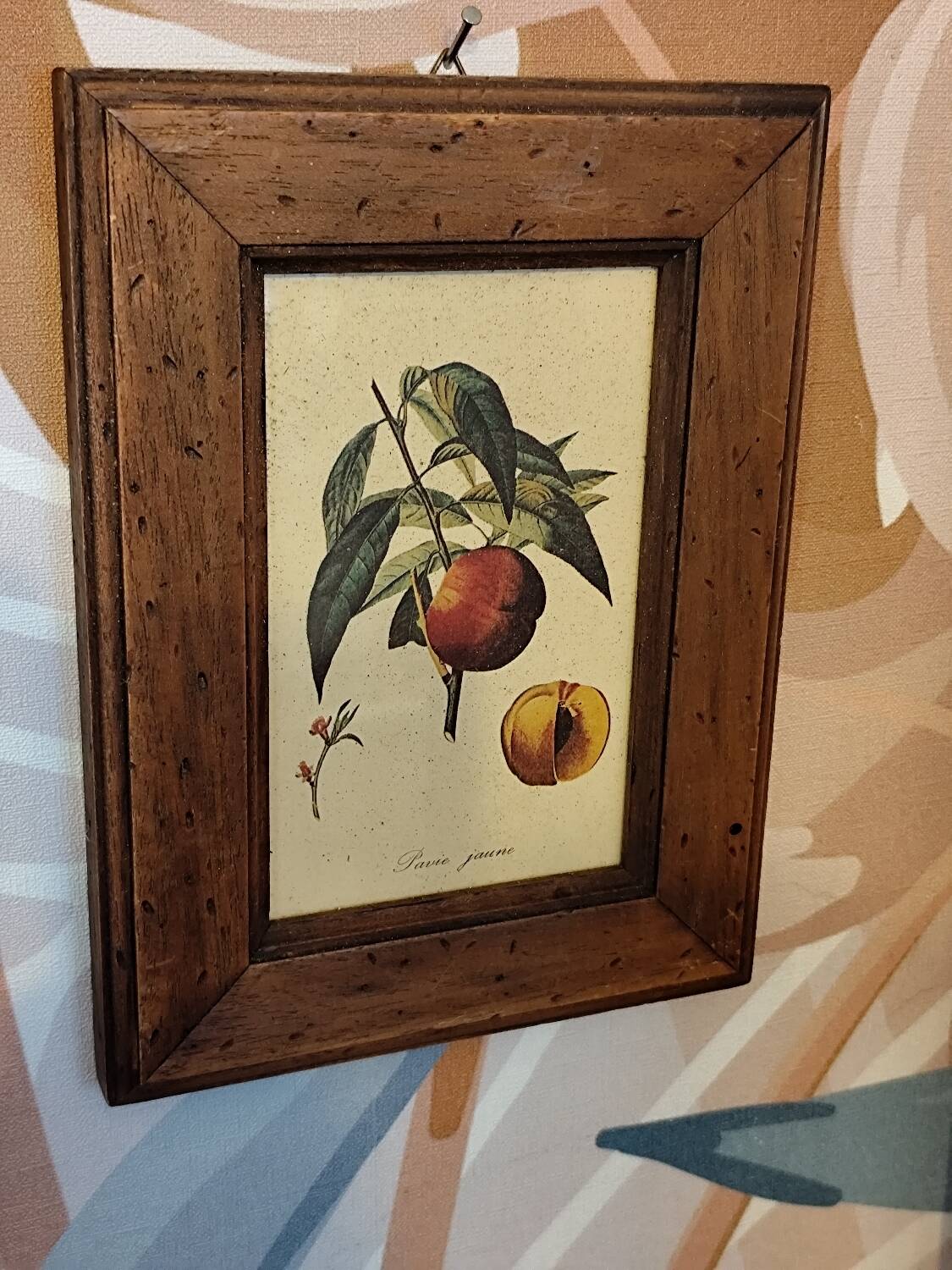 Set of three small framed fruit prints