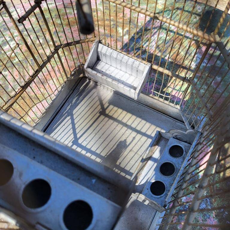 1900 Bird Cage Feeder and Drinker