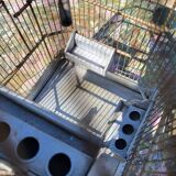 1900 Bird Cage Feeder and Drinker