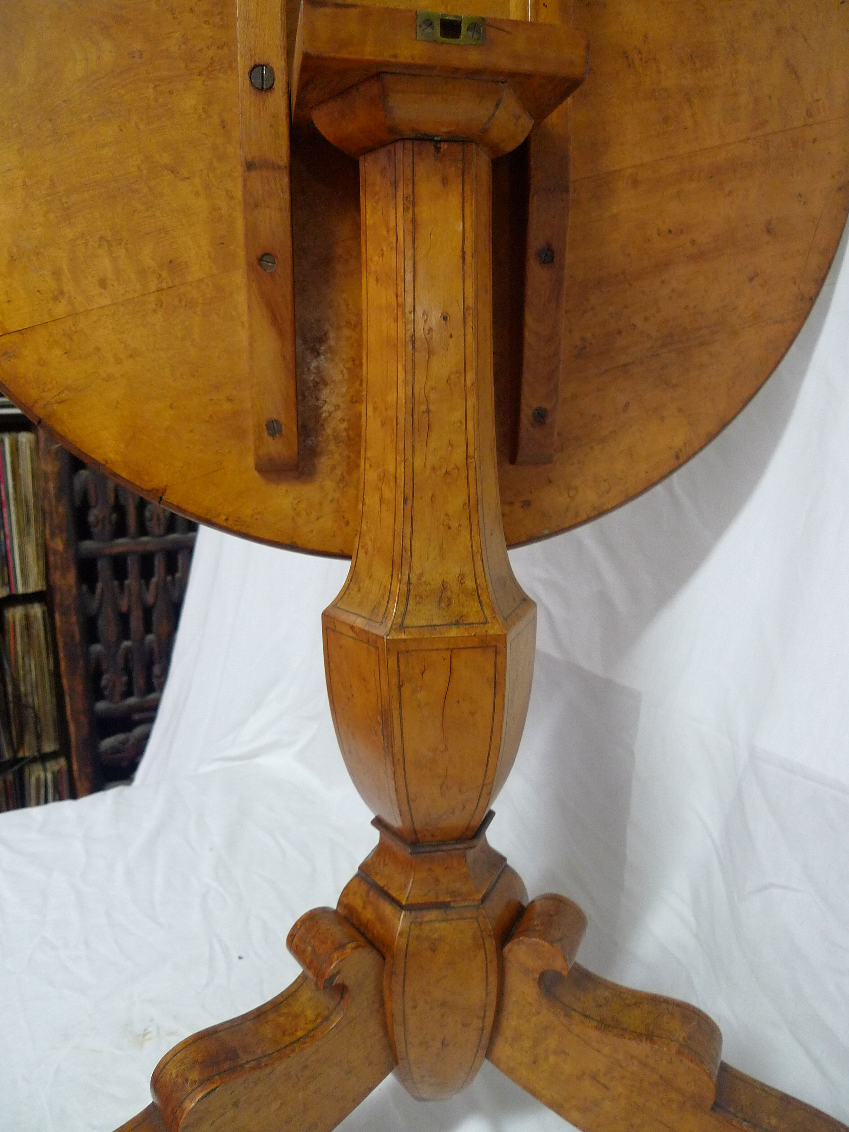 Tipping gerdone lemon tree magnifying glass