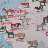 Ancienne affiche scolaire MDI France, le gros élevage et le Rhône.