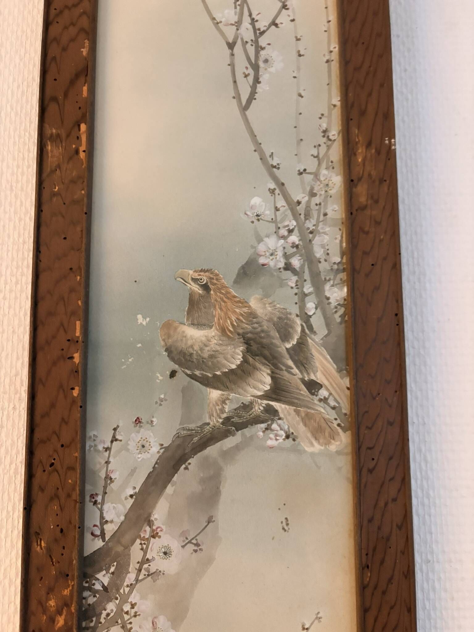 Japanese Sumi-e Painting Eagle Plum Blossom Japan Kakemono Kacho-ga