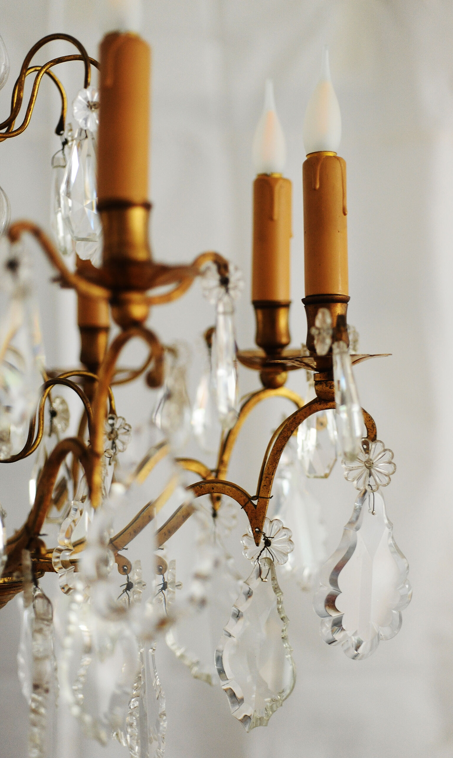 19th branch stamp chandelier