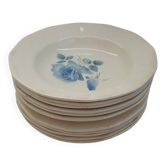 11 assiettes anciennes Digoin et Sarreguemines