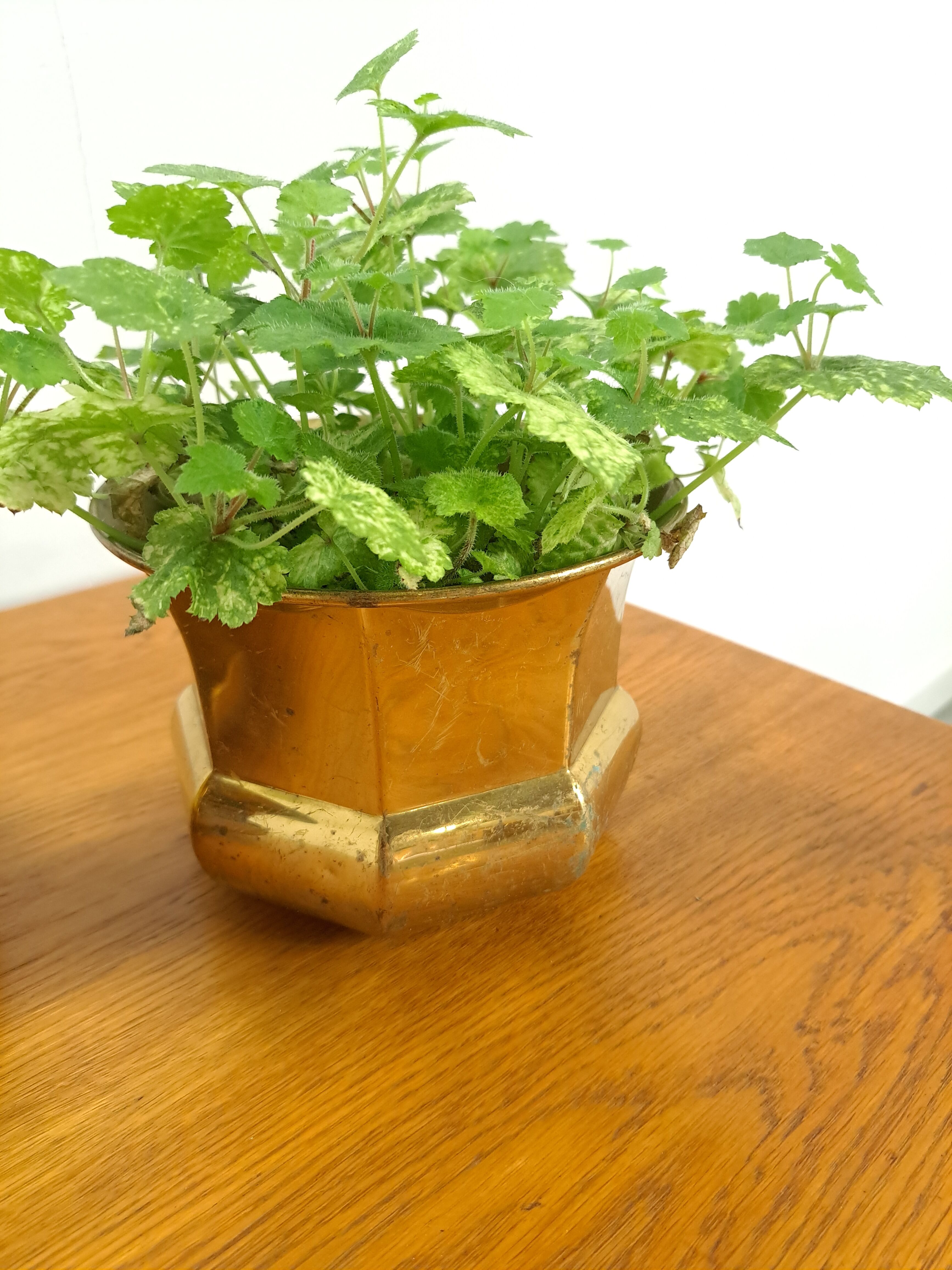 Brass set flower pots, pots