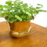 Brass set flower pots, pots