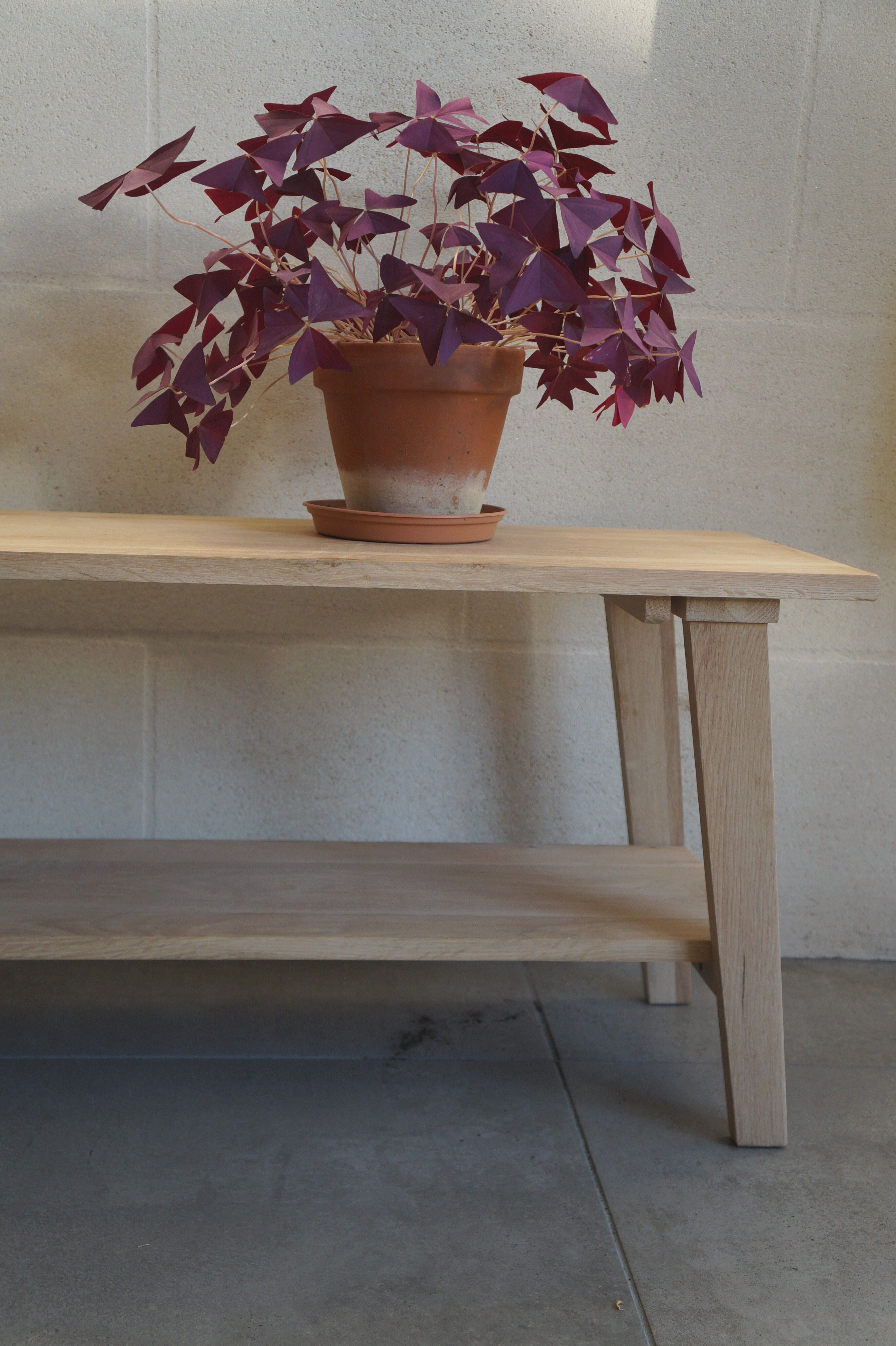 Massive oak bench with compass feet