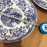 Set of 2 landscape and blue flower plates Promogros