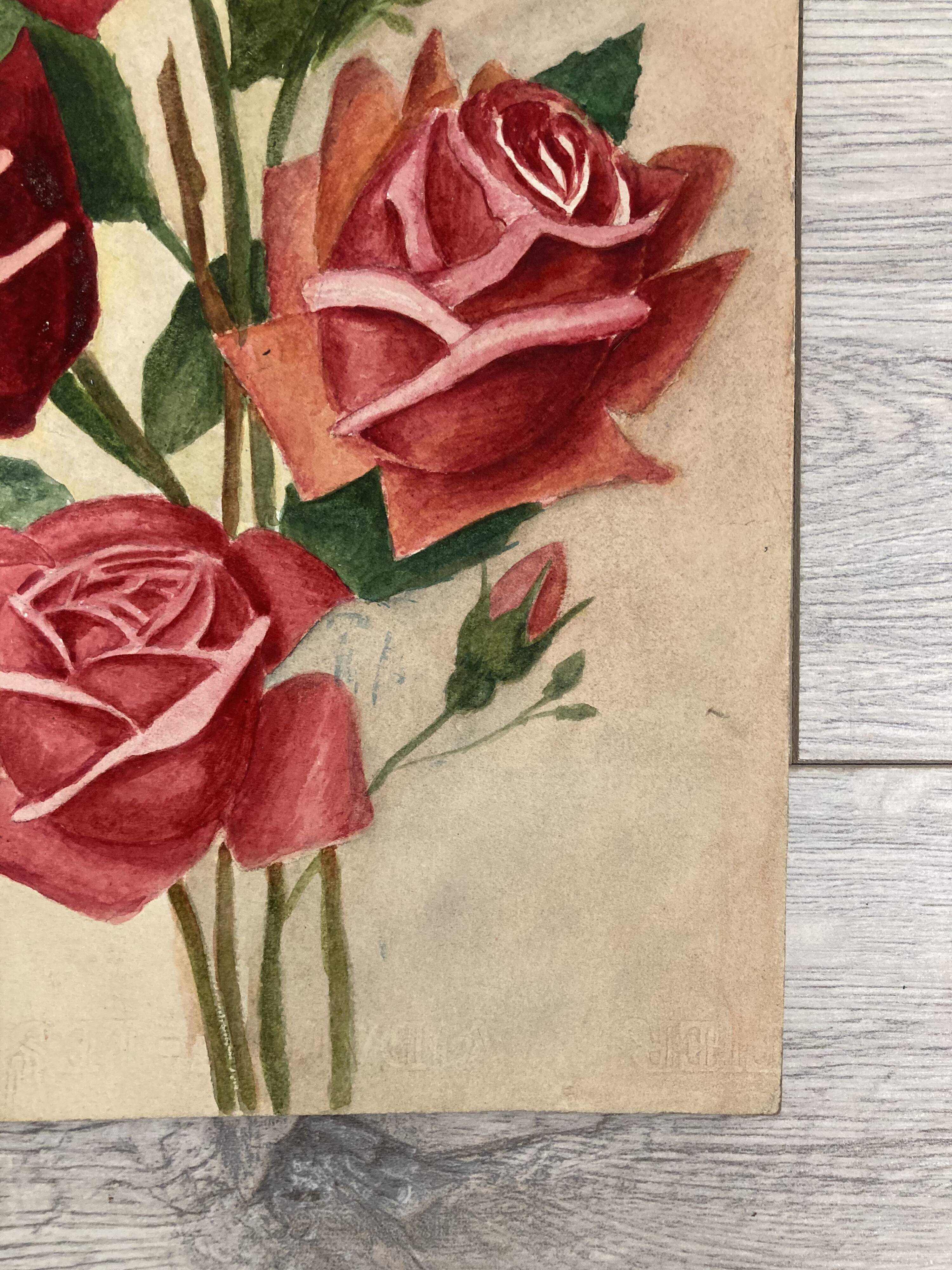 Old rose watercolor