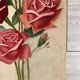 Old rose watercolor