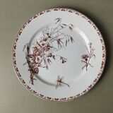 "Carmen" - 5 flat plates ø 23.5cm ironstone Sarreguemines U&C