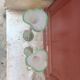 Paire de vases Art Nouveau