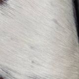 Cowhide and wood stool